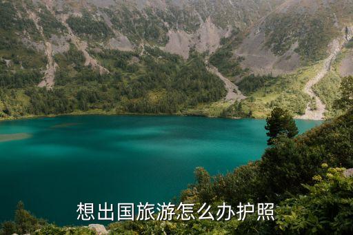 想出國(guó)旅游怎么辦護(hù)照