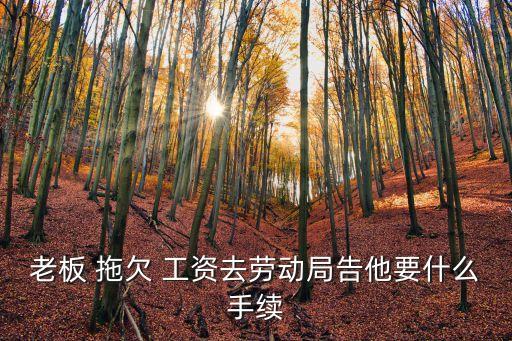 起訴拖欠工資需要什么材料,怎么直接從網(wǎng)上起訴