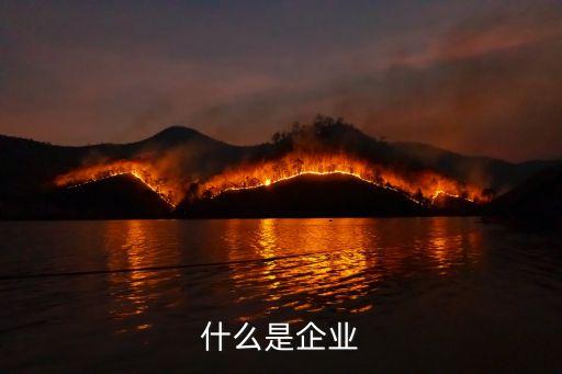 企業(yè)概念，企業(yè)的定義是什么