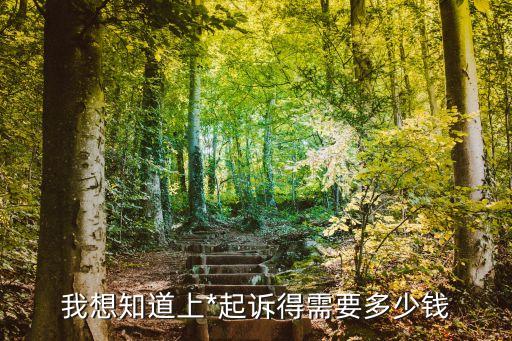 訴訟成本，我想知道上*起訴得需要多少錢