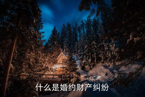 什么是婚約財產(chǎn)糾紛