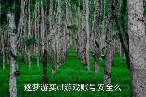逐夢(mèng)游，逐夢(mèng)游買cf游戲賬號(hào)安全么
