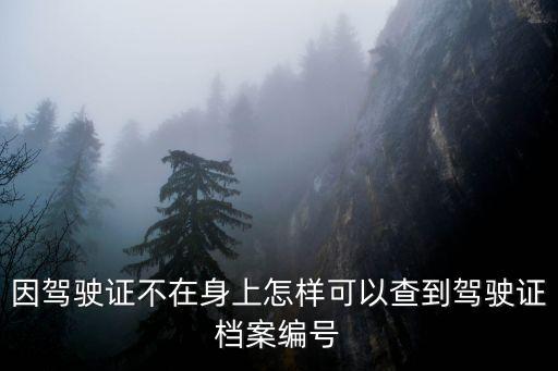 機(jī)動(dòng)車(chē)駕駛證檔案編號(hào)怎么查，駕駛證怎么查檔案編號(hào)