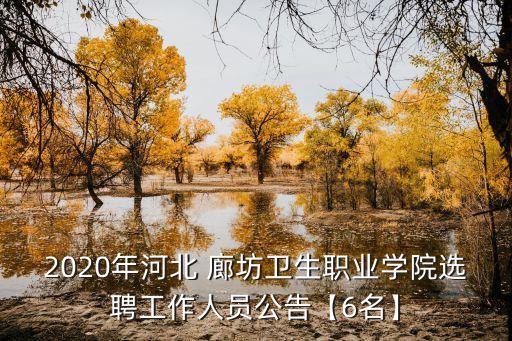 廊坊人才