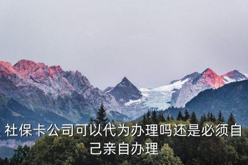 社?？ü究梢源鸀檗k理嗎還是必須自己親自辦理
