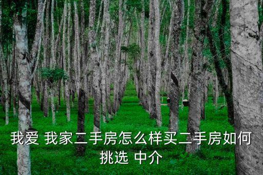 我愛我家中介