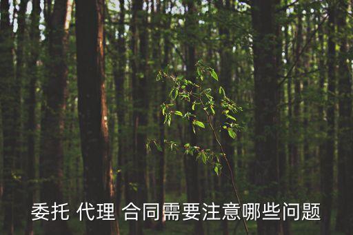 代理合同需要遵守什么法律