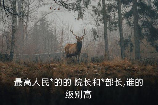 最高*院長,最高人民檢察院檢察長