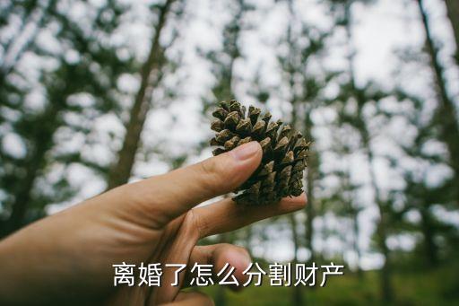 離婚了怎么分割財(cái)產(chǎn)