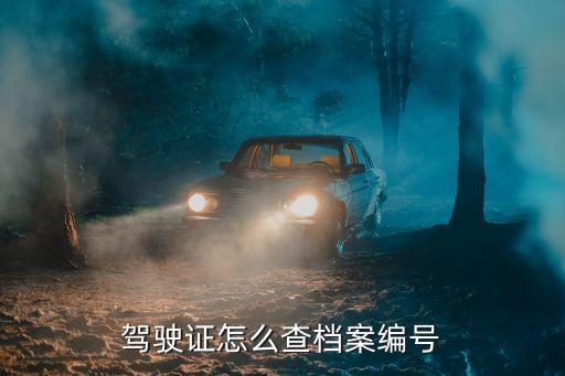 駕駛證怎么查檔案編號