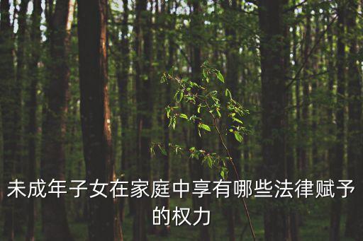 未成年子女在家庭中享有哪些法律賦予的權(quán)力