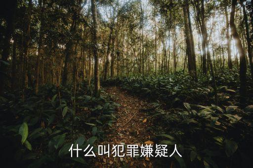 嫌疑人，什么叫犯罪嫌疑人