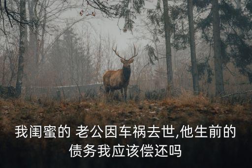老公欠債一概和老婆無關(guān)證明,欠信用卡30萬死了要家人還嗎