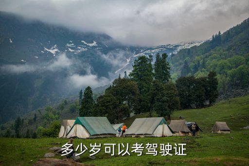 多大可以考駕照,2023年多大可以考駕照