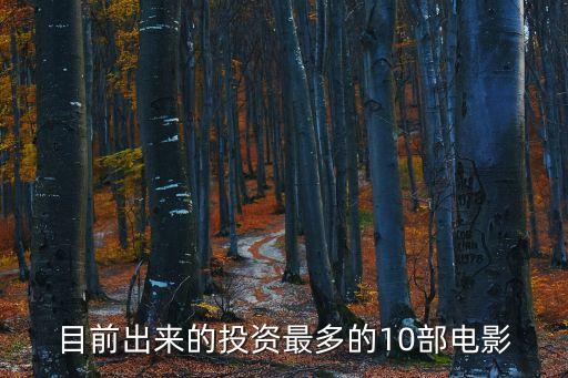 目前出來的投資最多的10部電影