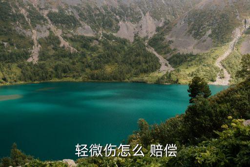輕微傷賠償標準,老人被打輕微傷賠償標準