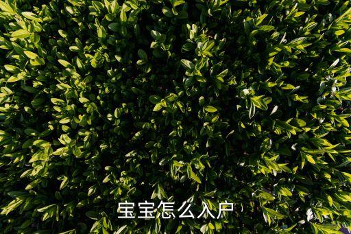 新生兒入戶，新生嬰兒怎么落戶口