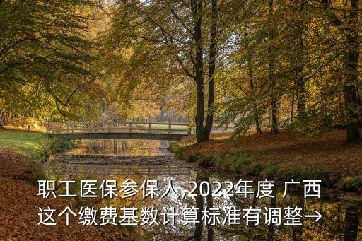 職工醫(yī)保參保人,2022年度 廣西這個(gè)繳費(fèi)基數(shù)計(jì)算標(biāo)準(zhǔn)有調(diào)整→
