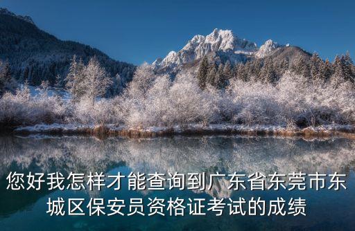 您好我怎樣才能查詢到廣東省東莞市東城區(qū)保安員資格證考試的成績