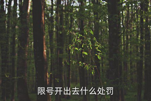 限行怎么處罰，違章限行怎么處罰