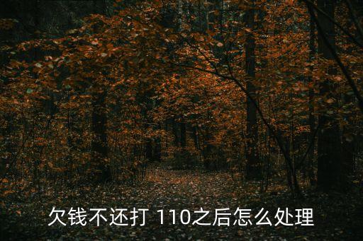 民事糾紛打110會(huì)處理嗎,網(wǎng)上110在線咨詢