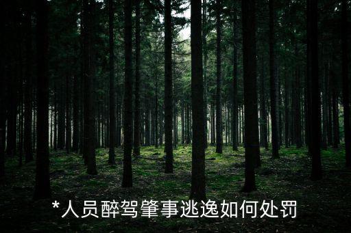 *人員醉駕肇事逃逸如何處罰
