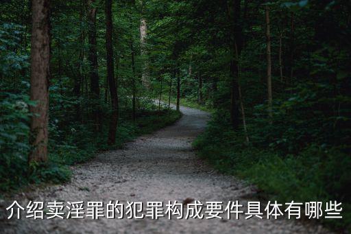 介紹賣淫罪，介紹賣淫罪的構成要件是怎樣的