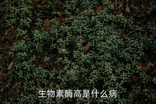生物素酶高是什么病
