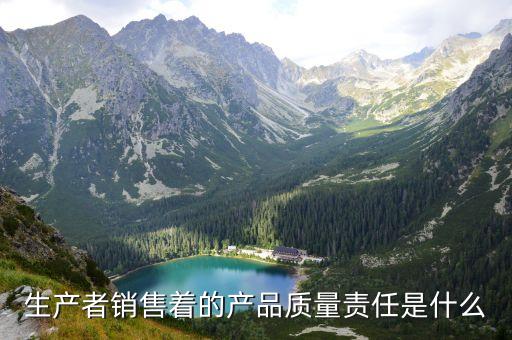 產(chǎn)品質(zhì)量責(zé)任，生產(chǎn)者銷售著的產(chǎn)品質(zhì)量責(zé)任是什么