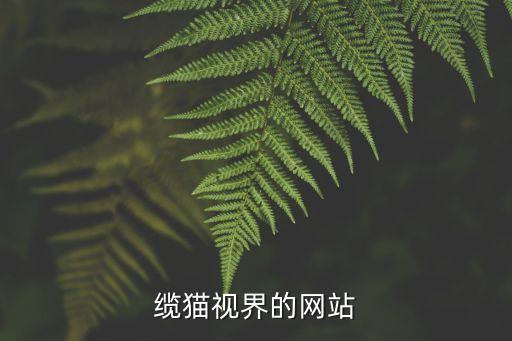 纜貓視界的網(wǎng)站
