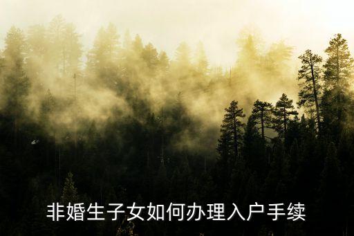 非婚生子女如何辦理入戶手續(xù)