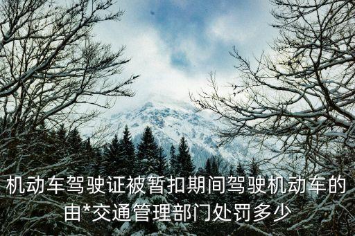 駕駛證暫扣期間開車應(yīng)怎樣處罰，機(jī)動(dòng)車駕駛證被暫扣期間駕駛機(jī)動(dòng)車的由*交通管理部門處罰多少