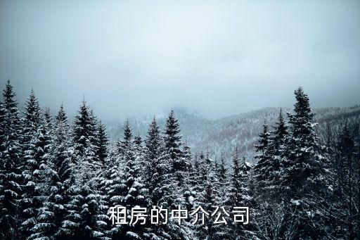 租房的中介公司