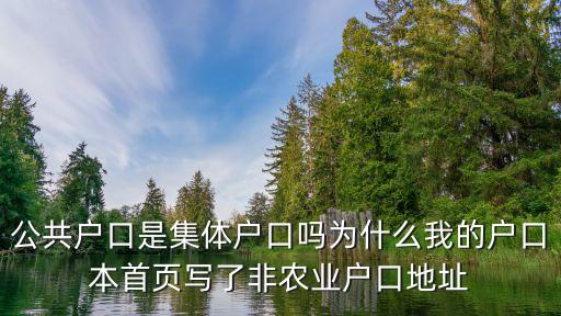 公共戶，公共戶口是集體戶口嗎為什么我的戶口本首頁(yè)寫了非農(nóng)業(yè)戶口地址