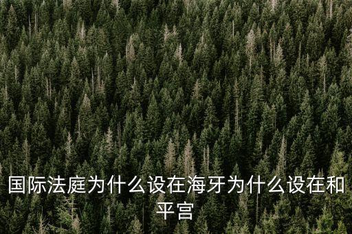 國(guó)際法庭，國(guó)際法庭為什么設(shè)在海牙為什么設(shè)在和平宮
