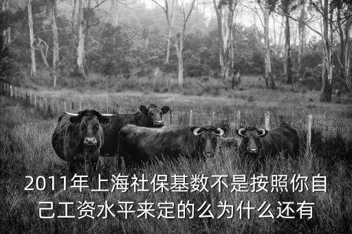 上海社保上限，2011年上海社?；鶖?shù)不是按照你自己工資水平來(lái)定的么為什么還有