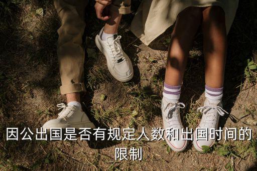 公出，因公出國是否有規(guī)定人數和出國時間的限制