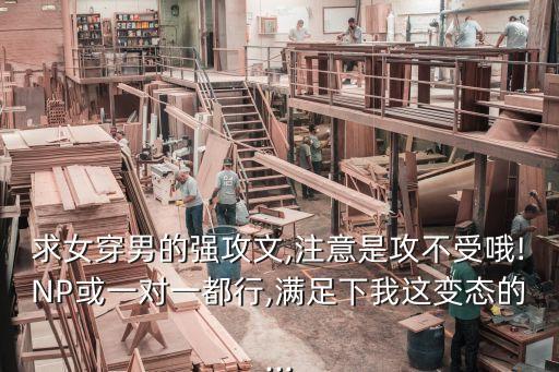 一對一h文