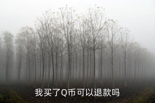 我買(mǎi)了Q幣可以退款嗎