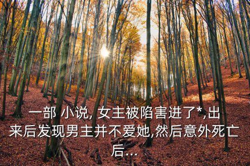 女主被輪奸的小說