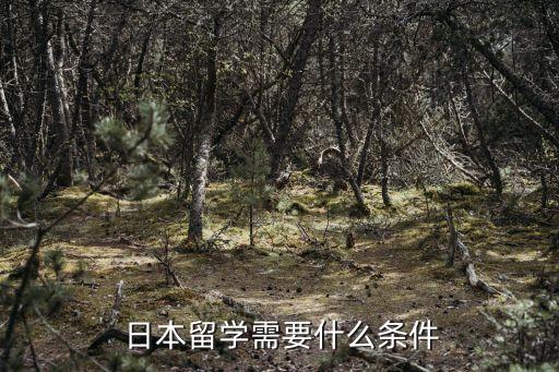 日本出國