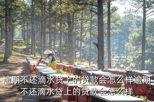 滴滴金融滴水貸，滴水貸5萬用一年每月本息應還多少
