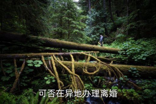 可否在異地辦理離婚