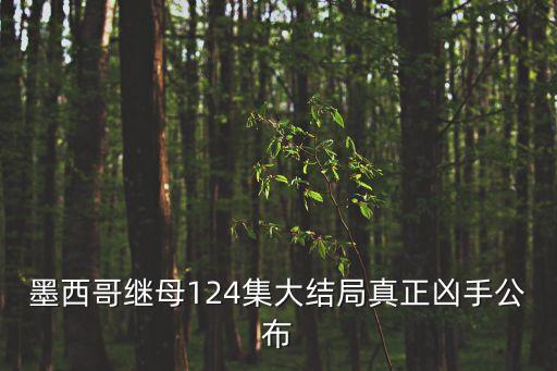 繼母2014，繼母有多少集