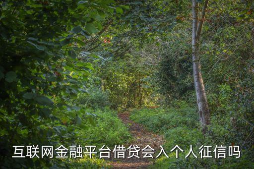 互聯(lián)網(wǎng)金融平臺(tái)借貸會(huì)入個(gè)人征信嗎