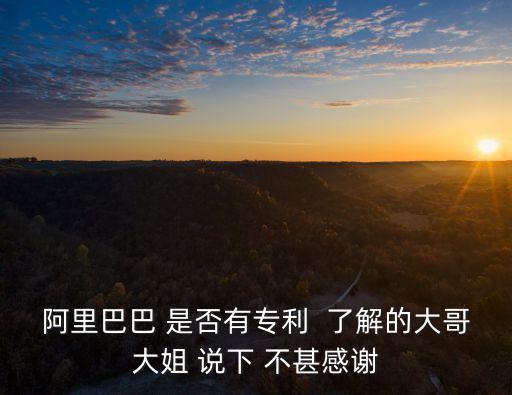 阿里巴巴 是否有專利  了解的大哥大姐 說下 不甚感謝