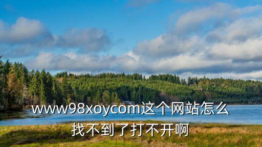 www98xoycom這個網(wǎng)站怎么找不到了打不開啊