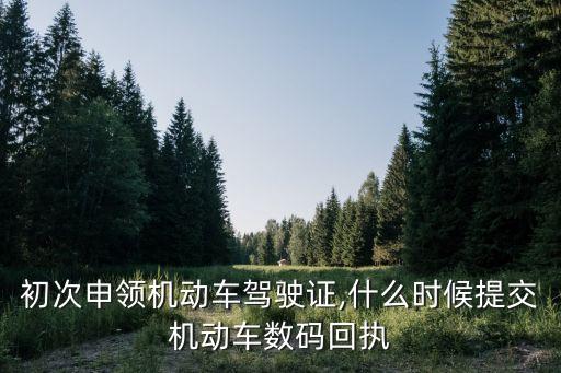初次申領(lǐng)機(jī)動(dòng)車駕駛證,什么時(shí)候提交機(jī)動(dòng)車數(shù)碼回執(zhí)