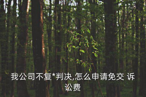 緩交訴訟費(fèi)申請(qǐng)書,申請(qǐng)緩交訴訟費(fèi)申請(qǐng)書