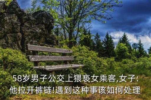 公交車摸胸